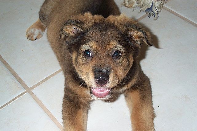 Arielatalmost3months3