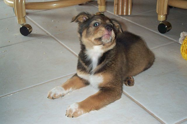 Arielatalmost3months5