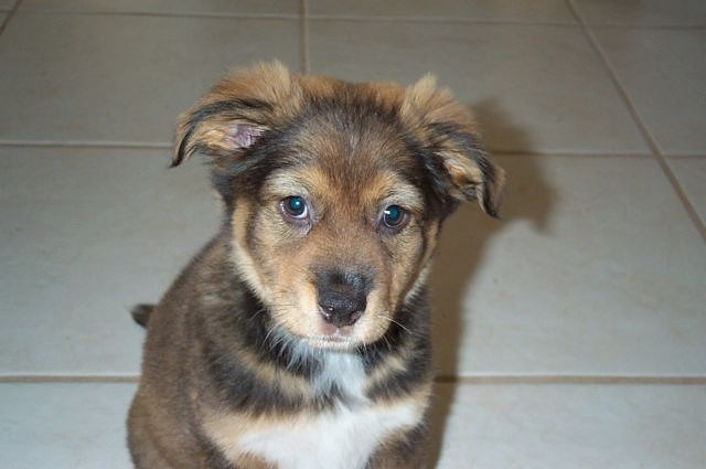 Arielatalmost3months6