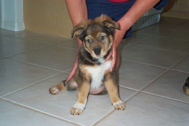 Arielatalmost3months7