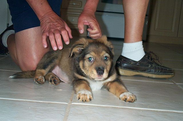 Arielatalmost3months8